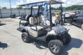 Affordable 2022 ICON Golf Cart