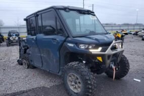 2025 CAN DEFENDER - utility vehicle