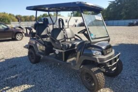 2024 Bint Golfcart for Sale