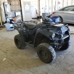 2025 Kawasaki Brute Force 300